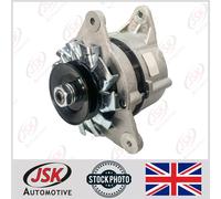 Alternatore 14V 34A Per David Brown 880 885 990 995 996 1390 1490 1690 1210 1212