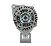 BV PSH 165.587.100.130 Alternatore