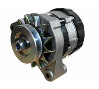 Alternatore 36 AMP Assemblaggio Per Tata 407 E Trattore Mahindra 10 25 05 AEs