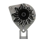 Alternatore 555.013.055.010 BV PSH