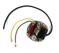 Alternatore 6V 15W Accensione Bosch Puch, Kreidler, Sachs, Zundapp, Per KTM
