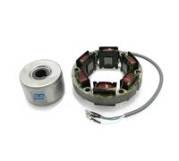 Alternatore A 3 Fili E Magnete 12V Per Moto Royal Enfield
