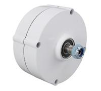 Alternatore a magneti permanenti CA trifase Generatore di corrente efficiente portatile compatto per elettrodomestici Uscita 12V Lega di alluminio Acciaio al carbonio 14 x 14 cm (100 W)