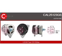 CASCO CAL25123GS Alternatore