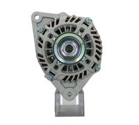 BV PSH 165.587.100.130 Alternatore