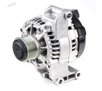Alternatore con puleggia a ruota libera DAN1310 DENSO per FIAT TIPO Tre volumi