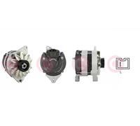 Alternatore con puleggia cinghia Poly-V CAL15136AS CASCO per CITROËN PEUGEOT