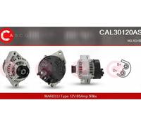 Alternatore con puleggia cinghia Poly-V CAL30120AS CASCO per ROVER MG