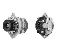 Alternatore con puleggia doppia MG 530 MAHLE