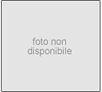 Alternatore EB317Q TA000A41001 600012 AX6057 J5110501 AF111364 MAN2608 DRA4173