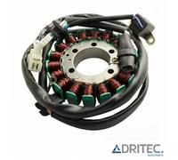 ✅ Alternatore estatore stator Yamaha XVS Drag Star 125 (2000-2004)