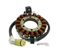 ✅ Alternatore estatore stator YAMAHA YFM 350 RAPTOR WARRIOR ( 2002-2012)
