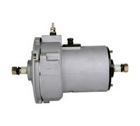 Alternatore Generatore 12 V 55 A HELLA Adatto Per Altri VW KAEFER