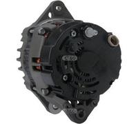 Alternatore Generatore 14 V 65 A Ø 69 Mm HC-CARGO Per MERCURY