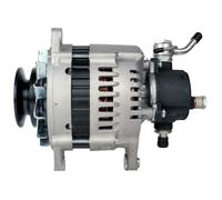 Generatore Con Puleggia 87mm HELLA per Opel Campo (TF0/TF1)