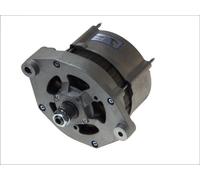Alternatore in PE adatto a F7, FL10, FL4, FL6, FL7, FS7; AKERMAN H...