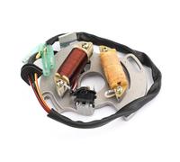 Alternatore Magneto Statore Adatto per Yamaha Blaster YFS200 90-02 3JM-85560-00-00 Accessori per motociclette