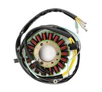 Alternatore Magneto Statore Bobina 18 Poli Per XR 250 L XR250L 1991-1996 31120-KV6-671 Accessori Moto Bobina Magnetica Accensione