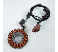 Alternatore originale per scooter Piaggio 250 Beverly Sport 2006-2008 58070R