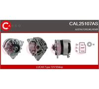 Alternatore Sando 2025107.0 per Ford Renault Hitachi Massey Ferguson Perkins