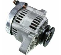 Alternatore Sostituisce Denso 100211-4650, Kubota 34070-75600, 34070-75601