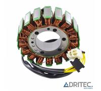✅ Alternatore Statore Ducati Monster 916 S4 (2000-2003)