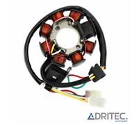 ✅ Alternatore Statore HUSQVARNA TC 510 (2005-2009)