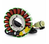 ✅ Alternatore Statore HUSQVARNA TE 610 (2007-2009)