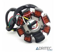 ✅ Alternatore Statore HUSQVARNA TX 125 (2017-2018)