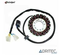 Alternatore Statore HYOSUNG ST7 700 (2010-2015) ELECTROSPORT
