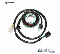 Alternatore Statore KAWASAKI KLX 400 (2003-2004) ELECTROSPORT
