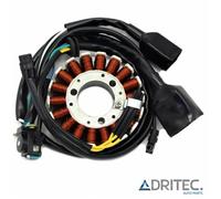 Alternatore Statore KAWASAKI KLX250 S (2009-2014)