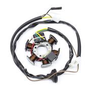 ALTERNATORE STATORE MAGNETE 310325000 BETA ARK LC 50 1996 2005