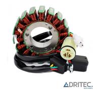 ✅ Alternatore Statore per Husqvarna SMR 250 (2008-2009-2010)