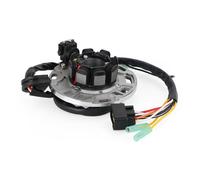 Alternatore Statore per Kawasaki KX 125 KX125-M1 KX125-M2 KX125-M3 2003-2005