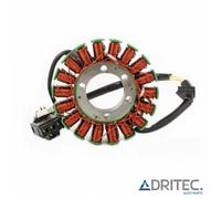 ✅ Alternatore statore stator Honda Forza NSS 250 (2004-2013)