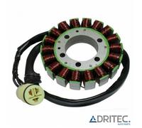 ✅ Alternatore statore stator Kawasaki Z 750 Z750 (2004-2006)