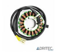 ✅ Alternatore statore stator SUZUKI GS 500 GS500 E (1989-2000)