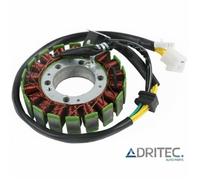 Alternatore statore stator Yamaha YP YP250 Majesty 250