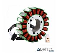 ✅ Alternatore Statore Suzuki GSXR 1000 GSX-R 1000 K1 K2 K3 K4 (2001-2004)