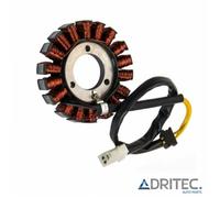 ✅ Alternatore Statore Suzuki GSXR 750 (2006-2014)
