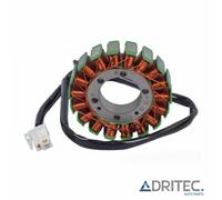 ✅ Alternatore Statore Triumph Speed Triple 955 (2002-2004)