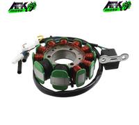 Alternatore Statore Volano Magnete 11 Poli Sym HD 125-200 2003 al 2008 Euro 2-3