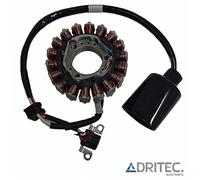 Alternatore Statore YAMAHA VP 250 X-CITY (2007-2015)