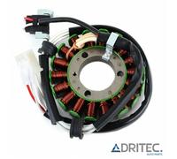 ✅ Alternatore Statore YAMAHA XG 250 TRICKER