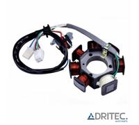 Alternatore Statore YAMAHA YBR 125 (2002-2013)