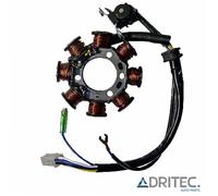 Alternatore Statore YAMAHA YBR 125 (2005-2006)