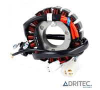 Alternatore Statore YAMAHA YBR 125 (2008-2014)