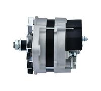 Alternatori Senza Nucleo 14V 70A Per E.G Deutz-Fahr OEM Hella