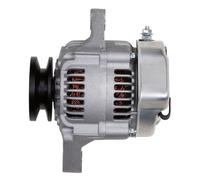 Alternatori Senza Nucleo Alternatore 14V 40A (8El 015 643-391) OEM Hella